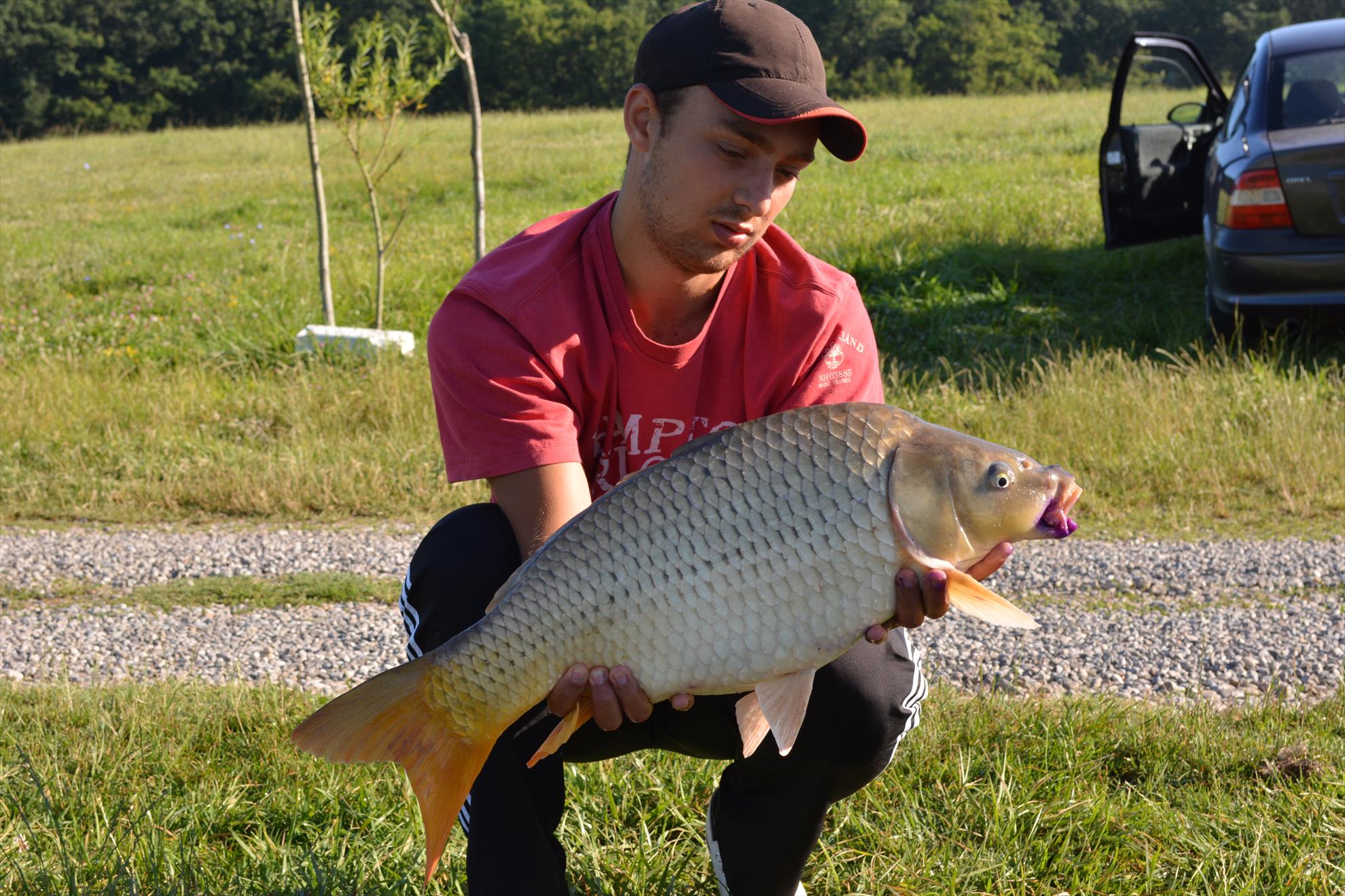 MV2 13.07.2014 - dsc0414.JPG